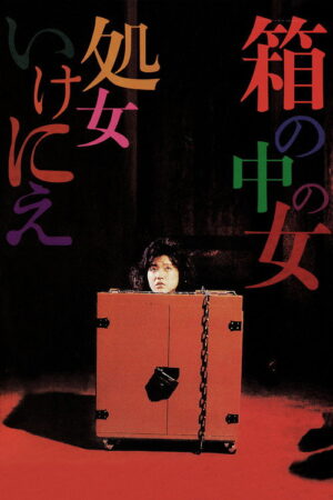 فيلم Woman in a Box Virgin Sacrifice مترجم اون لاين كامل